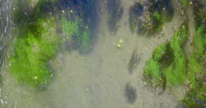 Flie&szlig;endes Wasser im Bach / Fluss / Flie&szlig;gew&auml;sser mit Sand D&uuml;nen und Riffeln sowie verschiedenen Wasserpflanzen