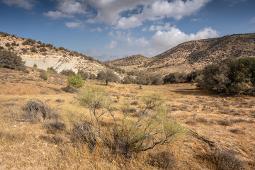 National park Dana, Jordan
