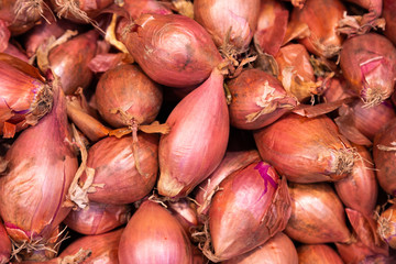 Bunch of brown flavoured harvested onions at vegetable shop background, close-up