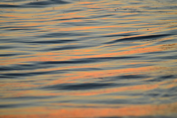 sea waves on the beach