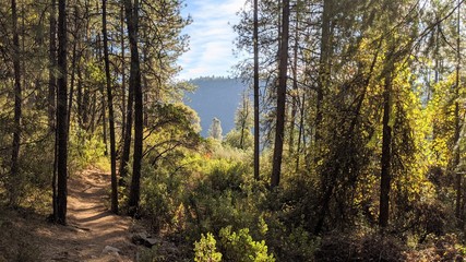 While walking on the hills, you can see a lot of beautiful places.