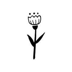 Single hand drawn ornamental flower for autumn decoration. Doodle vector illustration. Isolated on white background