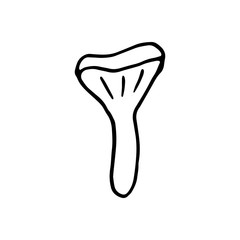 Single hand drawn forest mushroom for autumn decoration. Doodle vector illustration. Isolated on white background