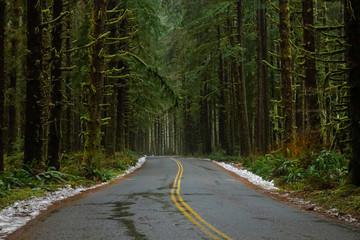Obraz premium AERIAL: Cool shot of an empty wet asphalt road running through a scary forest.