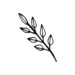 Single hand drawn leaf for winter and autumn decoration. Doodle vector illustration. Isolated on white background
