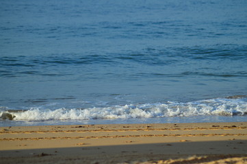 Fototapeta na wymiar morning on the beach