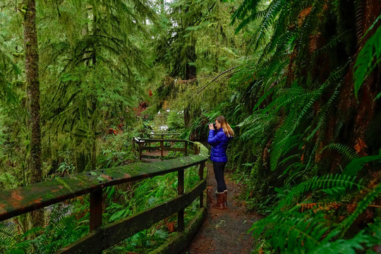 Woman takes pictures of beautiful trees while trekking around Hoh Rainforest.