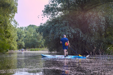 Man paddling on the SUP (stand up paddle board, paddleboard) in wilderness river overgrown with grass among the trees in summer unexplored places wild nature