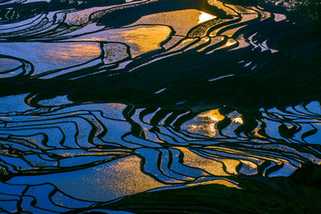 Obraz na płótnie Canvas Yuanyang Honghe Hani Reisterrassen Rice terraces paddies Yunnan China 