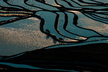Yuanyang Honghe Hani Reisterrassen Rice Terraces Rice paddies Yunnan China