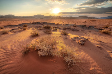 Wadi Rum desert, Jordan