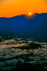 Yuanyang Honghe Hani Reisterrassen Rice terraces paddies Yunnan China