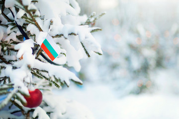 Christmas Bulgaria. Xmas tree covered with snow, decorations and flag. Snowy forest background in...