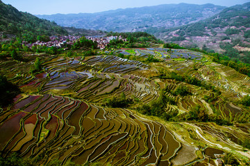 Fototapeta na wymiar Yuanyang Honghe Hani Reisterrassen Rice terraces paddies Yunnan China