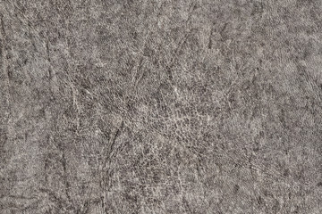 Old Gray Cowhide Creased Exfoliated Crumpled Grunge Texture Sample