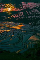 Yuanyang Honghe Hani Reisterrassen Rice terraces paddies Yunnan China 