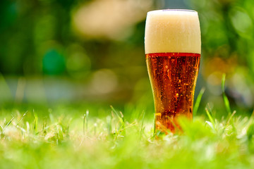 Glass of beer is standing on a grass with blurred city park on background. Beer with foam. Green...
