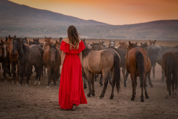 Back view of girl in red dress among many horses in sunset.