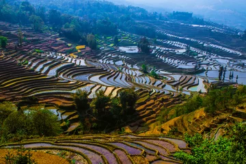 Gardinen Yuanyang Honghe Hani Reisterrassen Rice terraces paddies Yunnan China  © Christoph