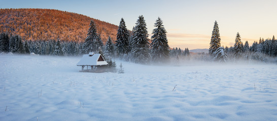 Shelter In The Misty Meadow Surrounded By Snow Covered Spruce Trees In The Last Evening Sunlight