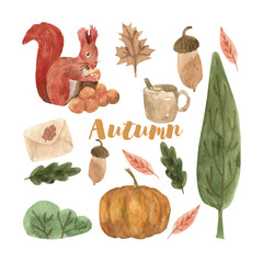 Cute autumn watercolor set with leaves, mushrooms, pumpkin and squirrel. Seasonal design for print, decoration. Isolated and high resolution.