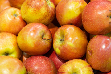 Fototapeta na wymiar Ripe colourful freshly-harvested apple close-up for background