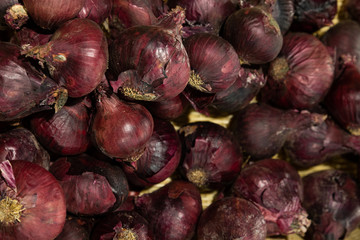 Close-up of red onion on supermarket shelf