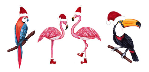 Set of winter tropical birds toucan, parrot and flamingo in Santa hat and shoes. Christmas design for cards, fabric, wrapping paper. Merry Christmas and Happy New Year vertical greeting card.