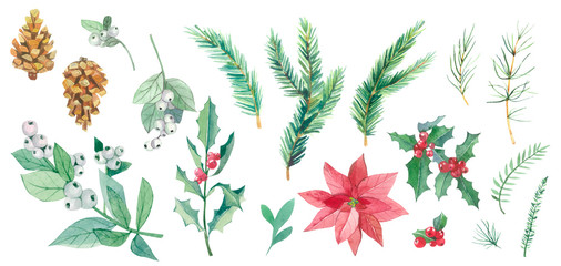 Watercolor Christmas botanical set. Hand drawn plants elements isolated on white background. Branches with snowberries, spruce, holly for invintation cards, banners, templates