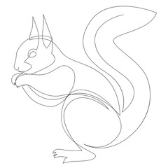 Obraz premium One line squirrel drawing. Squirrel in minimal line style. Vector illustration