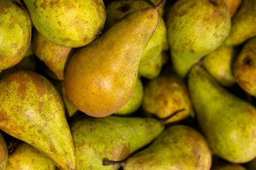 Many summer crispy delicious pears at background. Close-up view at fruit texture, healthy snack.
