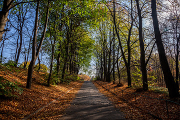 Autumn in the city. Beautiful city landscape.