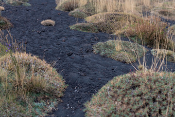 Unusual Landscape and Plants Growing on Side of Volcano