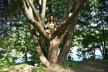 Fototapeta premium Women's yoga on the tree