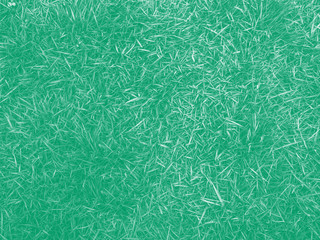 Green grass background. Light green backdrop. 