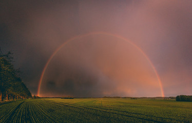 Obraz premium rainbow over field