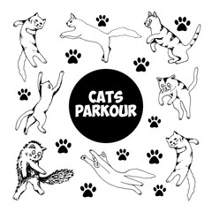 Cute hand drawn set of cats in jumping motion on white background. Vector adorable animals in trendy Scandinavian style. Funny, cute, hygge illustration for poster, banner, print.
