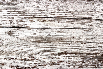 Texture of old wood, covered with white paint. Cut a tree in a cut. Vintage tree.