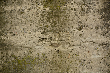 Beautiful vintage background. Abstract grunge decorative stucco wall texture. Wide rough background with copy space for text.