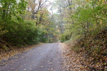 Fototapeta premium A vehicle parked on the road in the fall or Autumn season.