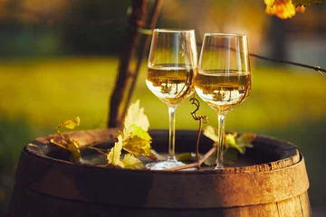 Gardinen Zwei volle Gläser Weißwein auf Holzfass im Herbst © Rostislav Sedlacek