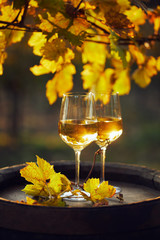 Two glasses of white wine on a wooden barrel at sunset