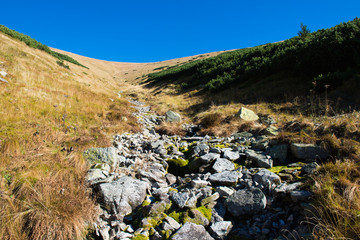 Sunny Autumn Day On The Mountains