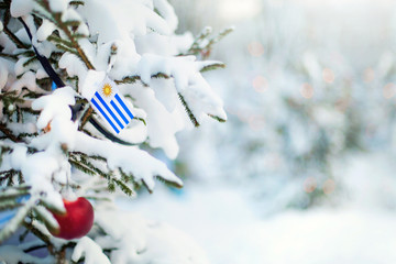Christmas Uruguay. Xmas tree covered with snow, decorations and a flag of Uruguay. Snowy forest background in winter. Christmas greeting card.