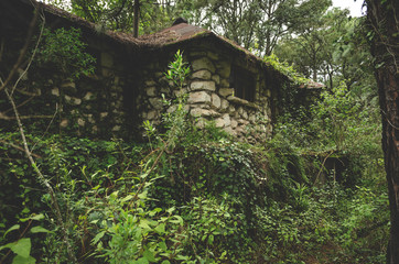 Cabaña reclamada por la naturaleza en Mazamitla, Jalisco. México
