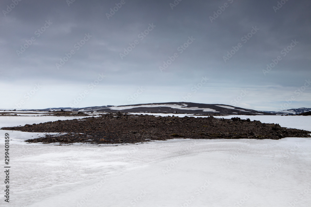 Wall mural the bare patch in the snow