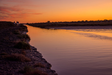 camargues