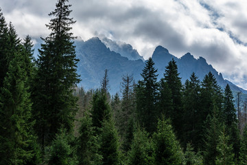 View of the mountain scenery. Clouds gather over a high mountain ridge and a dark forest.