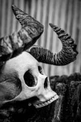 Halloween Skull Demon Horns