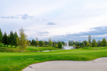 Landscape. Golf course with trees, shrubs, lake, bridge and fountain.
